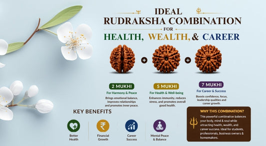 Rudraksha Combination for Health, Career, and Wealth