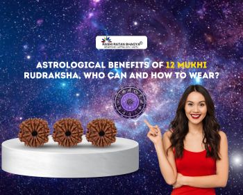 Astrological Benefits of 12 Mukhi Rudraksha, Who Can and How to Wear?