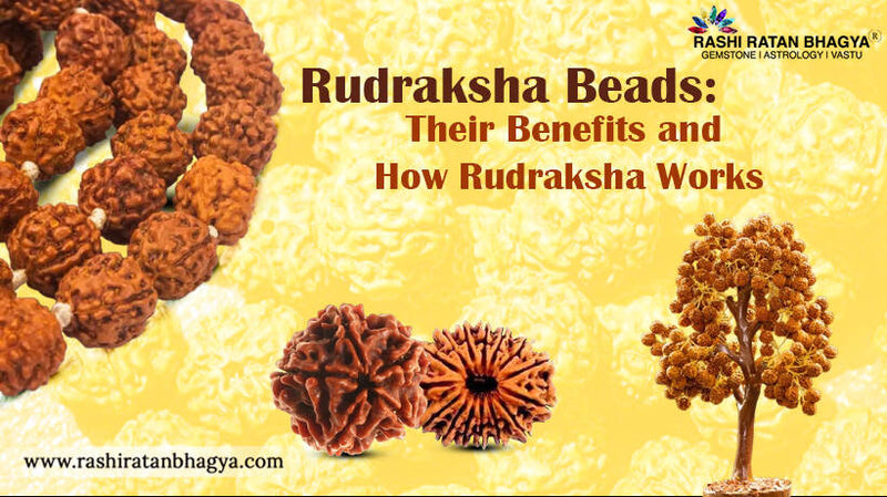 Rudraksha Beads: Their Benefits and How Rudraksha Works