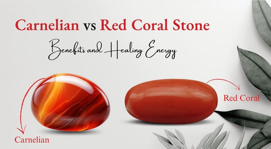 Carnelian vs Red Coral Stone: Which Is Right for You?