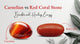 Carnelian vs Red Coral Stone: Which Is Right for You?
