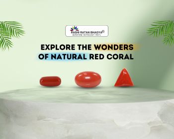 Explore the Wonders of Natural Red Coral