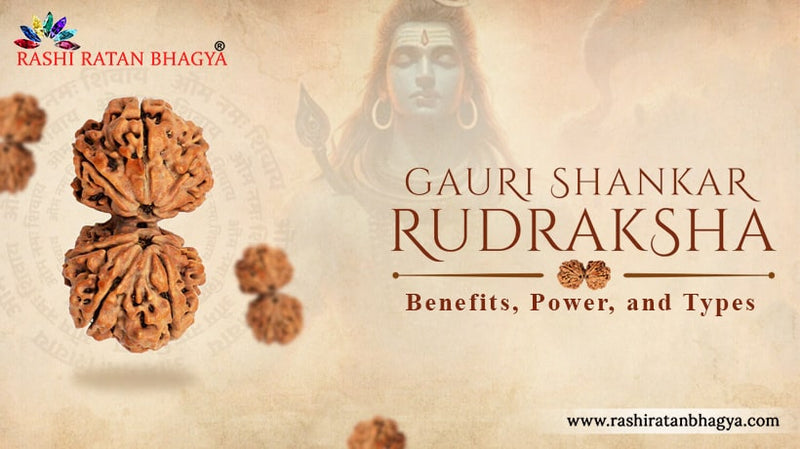 Benefits of Gauri Shankar Rudraksha