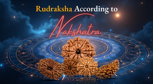 Ideal Rudraksha According to Your Nakshatra