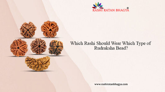 Which Rudraksha to Wear According to My Rashi?