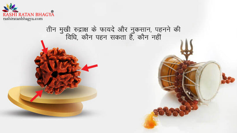 तीन मुखी रुद्राक्ष पहनने के फायदे, नुकसान, विधि और नियम