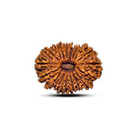18 Mukhi Rudraksha