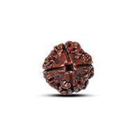 4 Mukhi Rudraksha