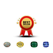 Best Sellers