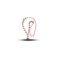 Siddha Rudraksha Mala
