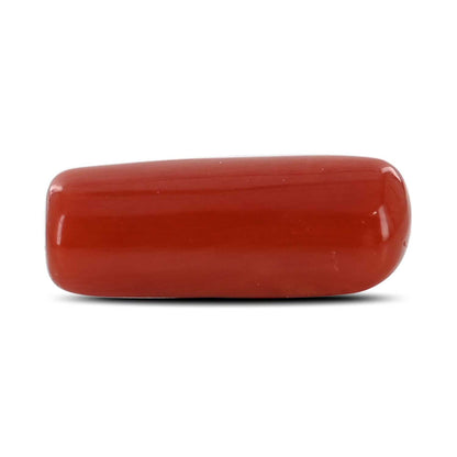 Red Coral (Moonga) - 5.24 Carat