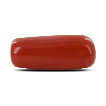 Red Coral (Moonga) - 5.24 Carat