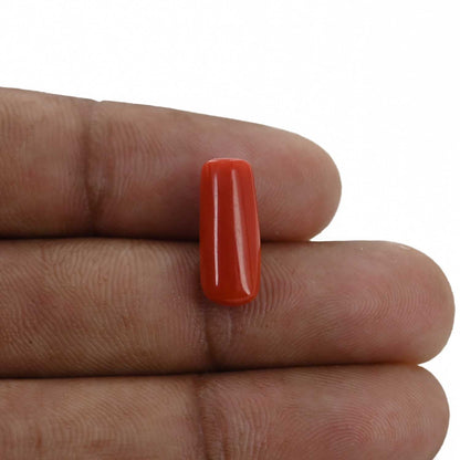 Red Coral (Moonga) - 5.24 Carat