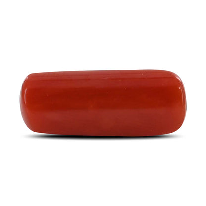 Red Coral (Moonga) - 5.4 Carat