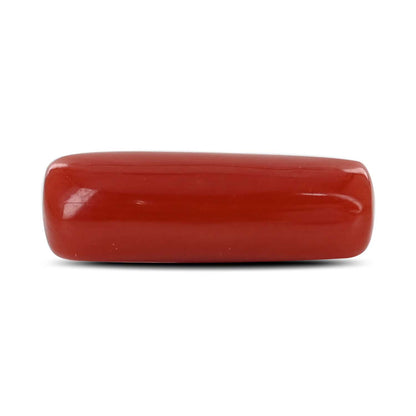 Red Coral (Moonga) - 4.73 Carat