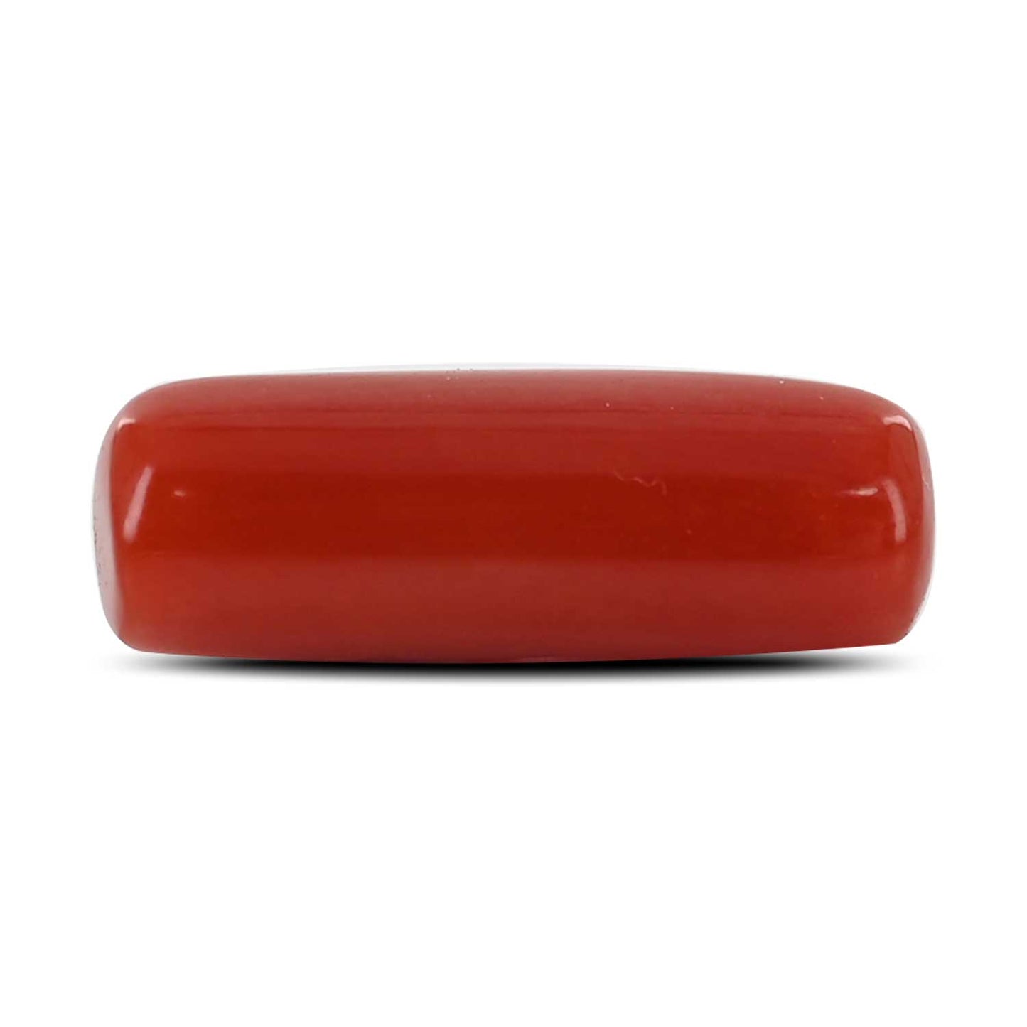 Red Coral (Moonga) - 4.73 Carat