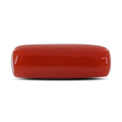 Red Coral (Moonga) - 4.73 Carat