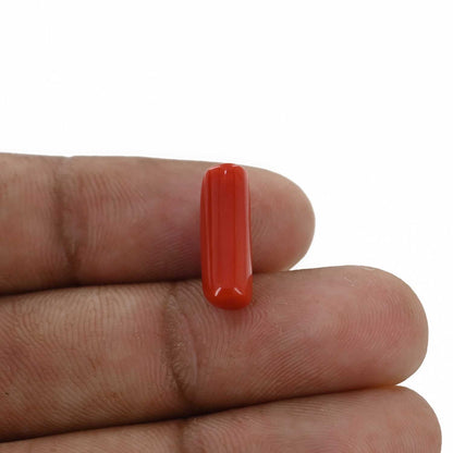Red Coral (Moonga) - 4.73 Carat
