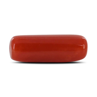 Red Coral (Moonga) - 4.71 Carat
