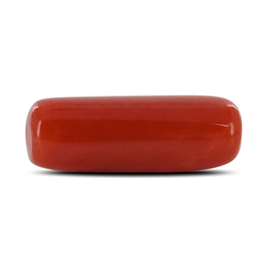 Red Coral (Moonga) - 4.71 Carat