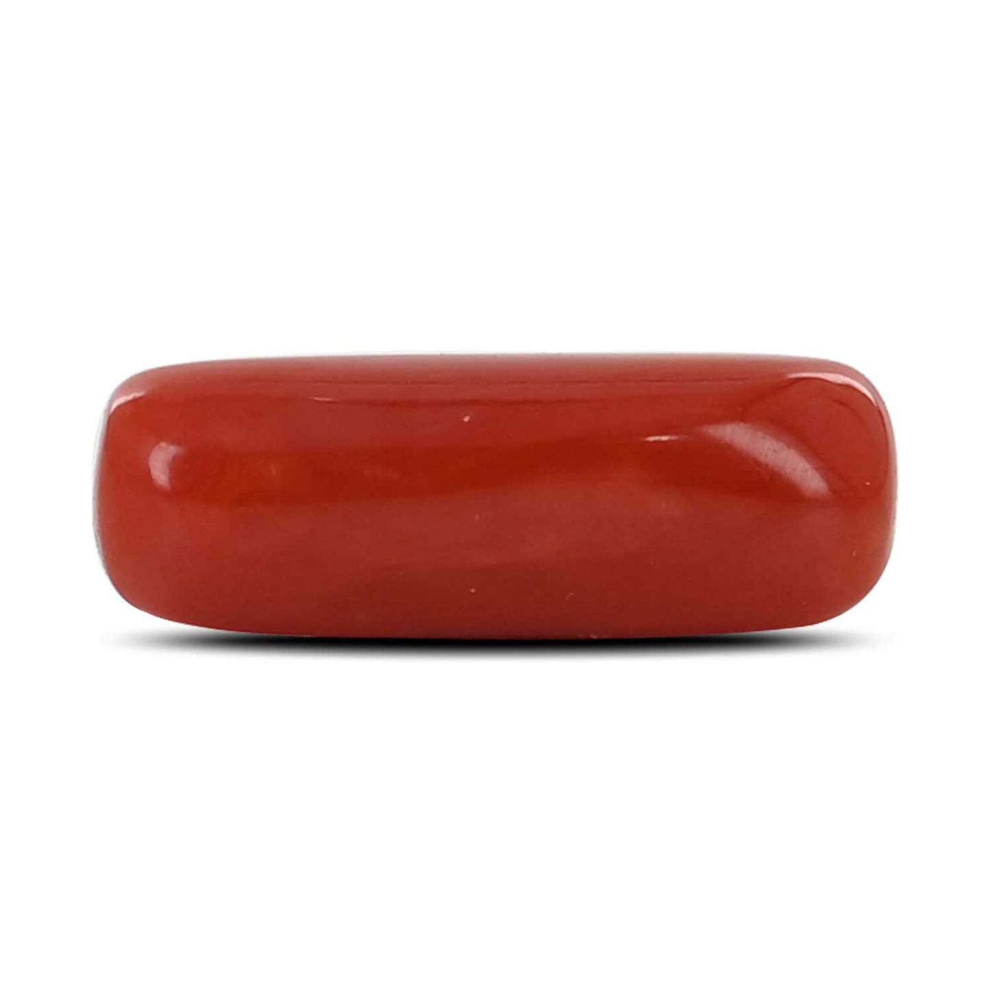 Red Coral (Moonga) - 4.71 Carat