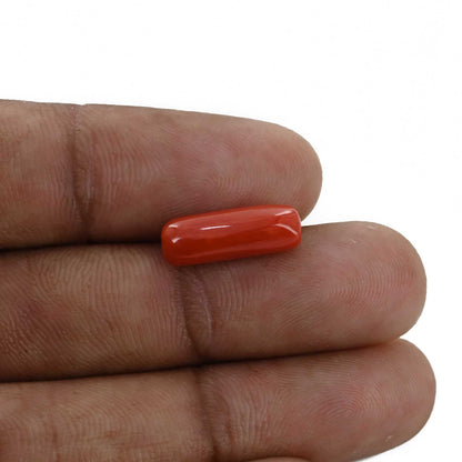 Red Coral (Moonga) - 4.71 Carat