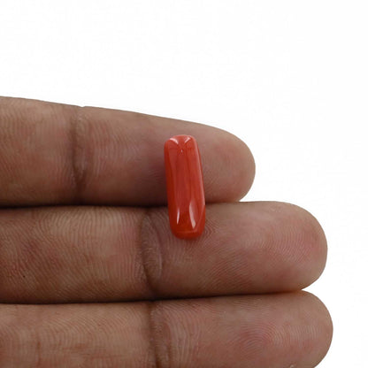 Red Coral (Moonga) - 4.71 Carat
