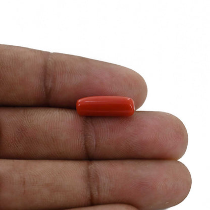 Red Coral (Moonga) - 4.71 Carat