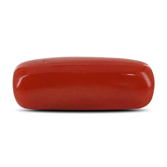 Red Coral (Moonga) - 5.25 Carat
