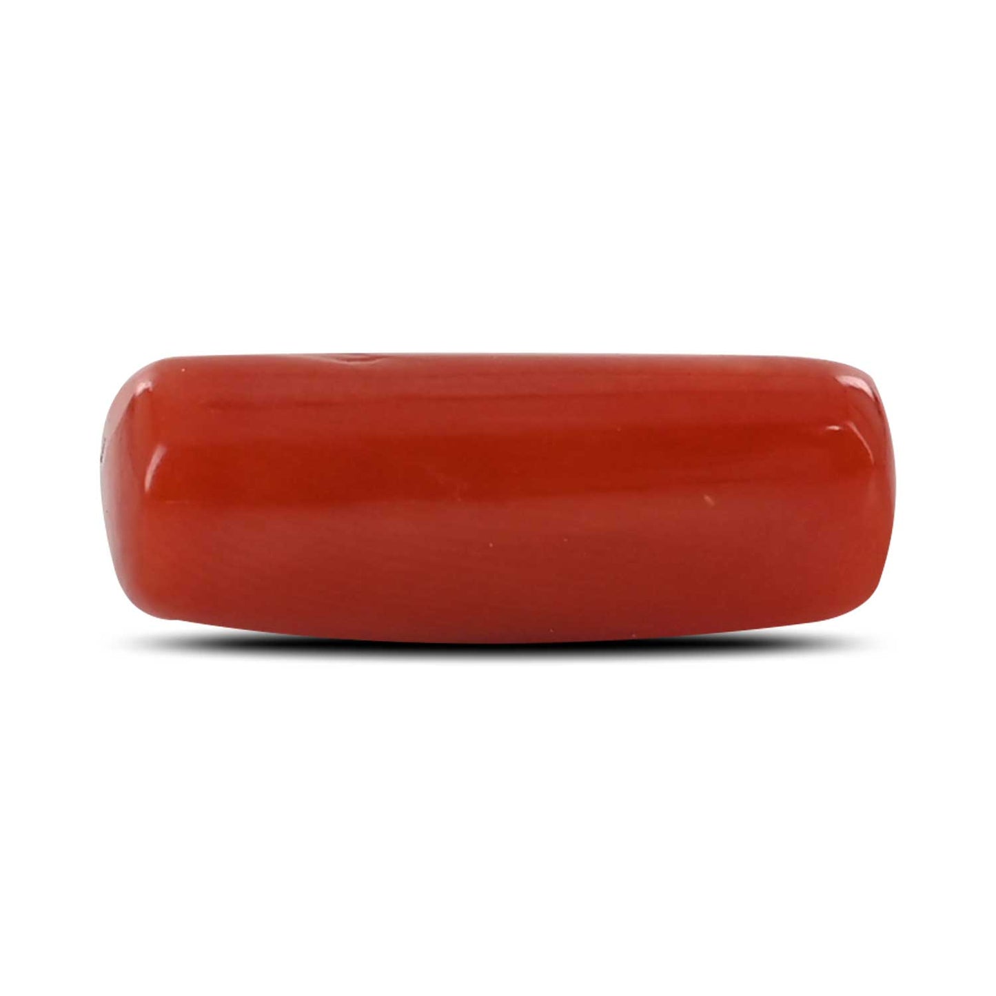 Red Coral (Moonga) - 5.25 Carat