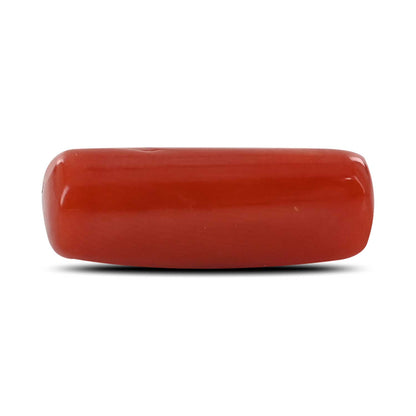 Red Coral (Moonga) - 5.25 Carat