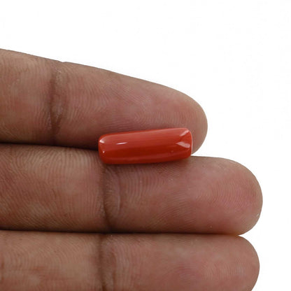 Red Coral (Moonga) - 5.25 Carat