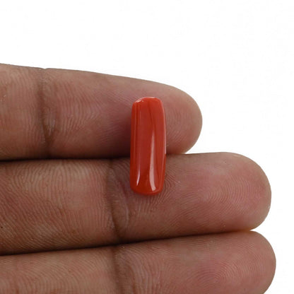 Red Coral (Moonga) - 5.25 Carat