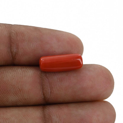 Red Coral (Moonga) - 5.25 Carat