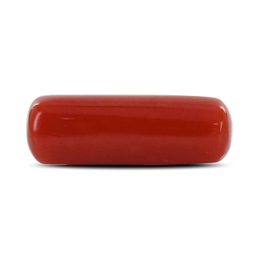 Red Coral (Moonga) - 5.32 Carat