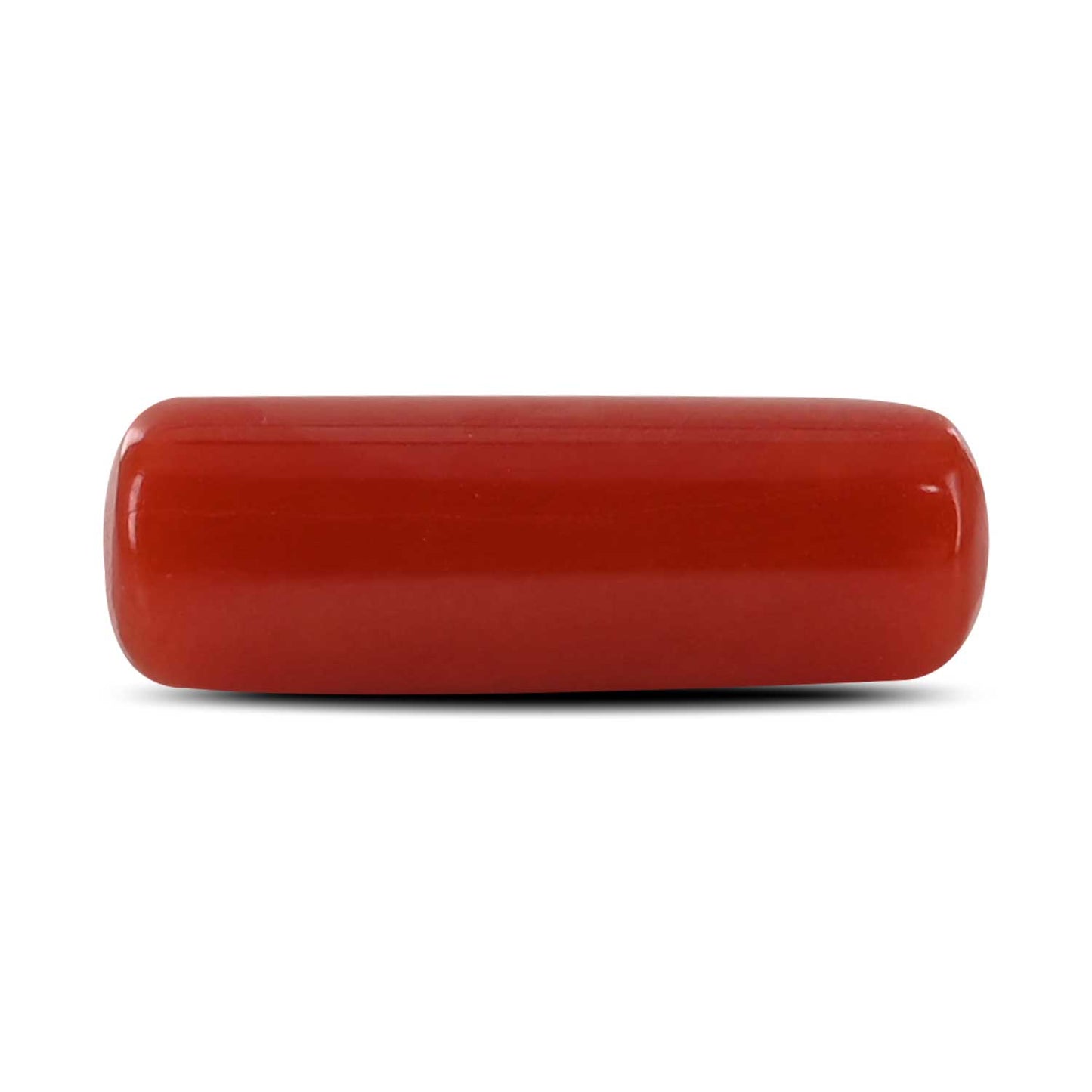 Red Coral (Moonga) - 5.32 Carat