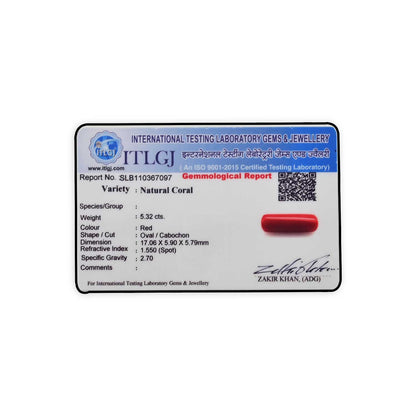 Red Coral (Moonga) - 5.32 Carat