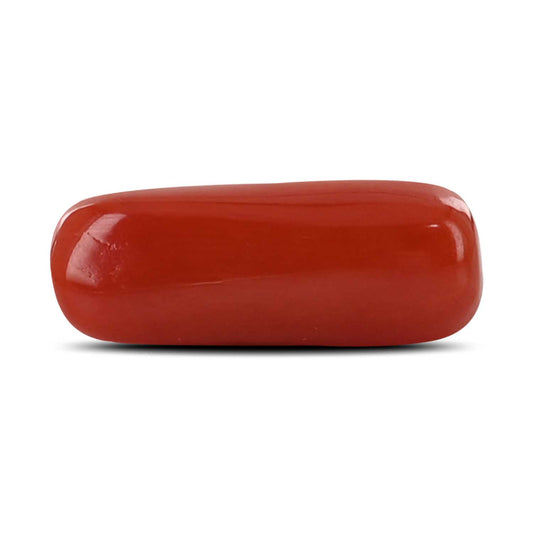 Red Coral (Moonga) - 4.92 Carat
