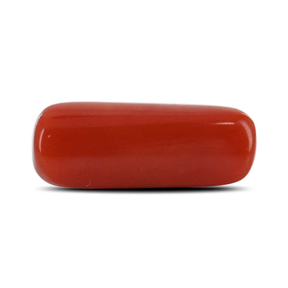 Red Coral (Moonga) - 4.92 Carat