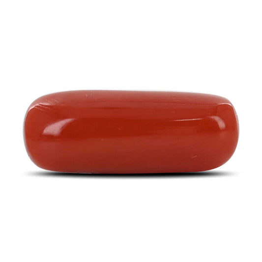 Red Coral (Moonga) - 5.38 Carat