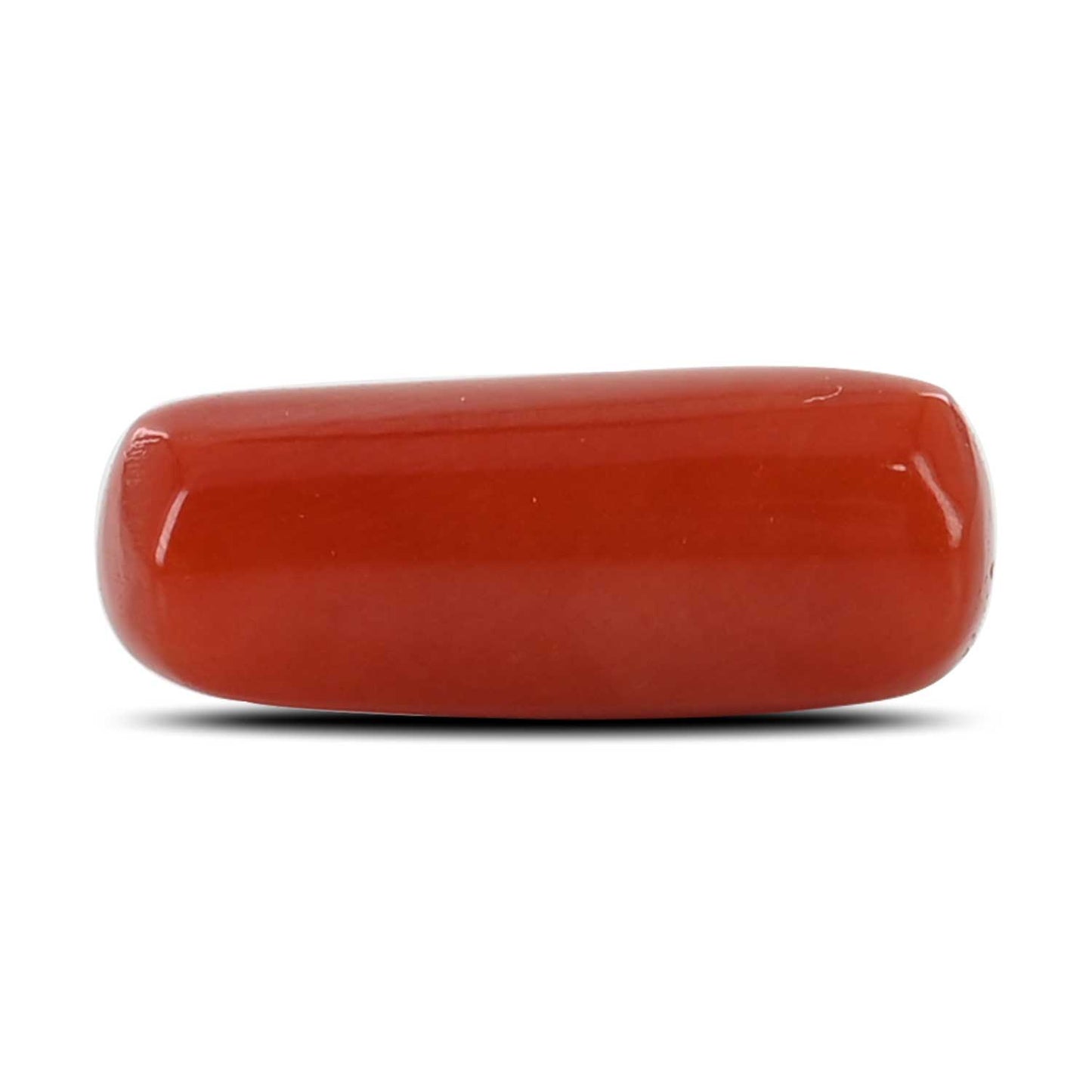 Red Coral (Moonga) - 5.38 Carat