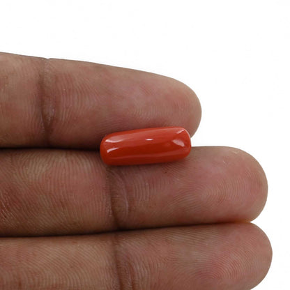 Red Coral (Moonga) - 5.38 Carat