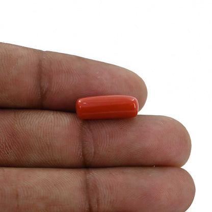Red Coral (Moonga) - 5.38 Carat