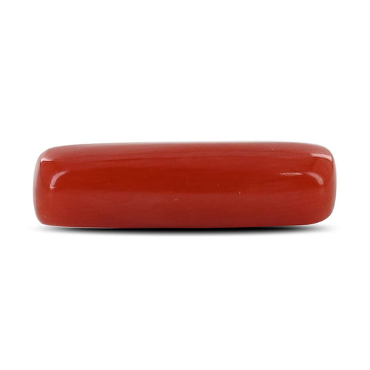 Red Coral (Moonga) - 4.79 Carat