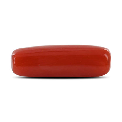 Red Coral (Moonga) - 4.79 Carat
