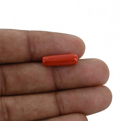 Red Coral (Moonga) - 4.79 Carat