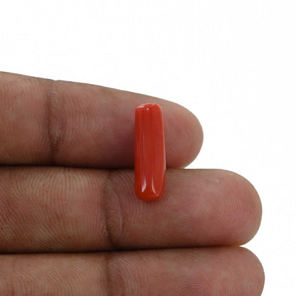 Red Coral (Moonga) - 4.79 Carat