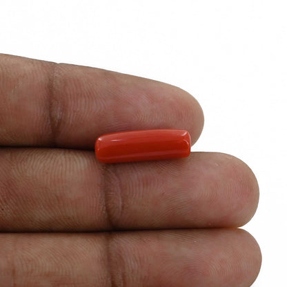 Red Coral (Moonga) - 4.79 Carat