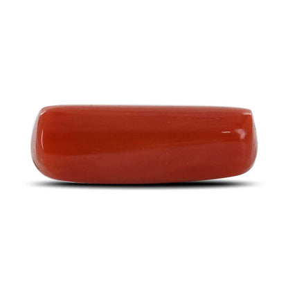 Red Coral (Moonga) - 5.03 Carat