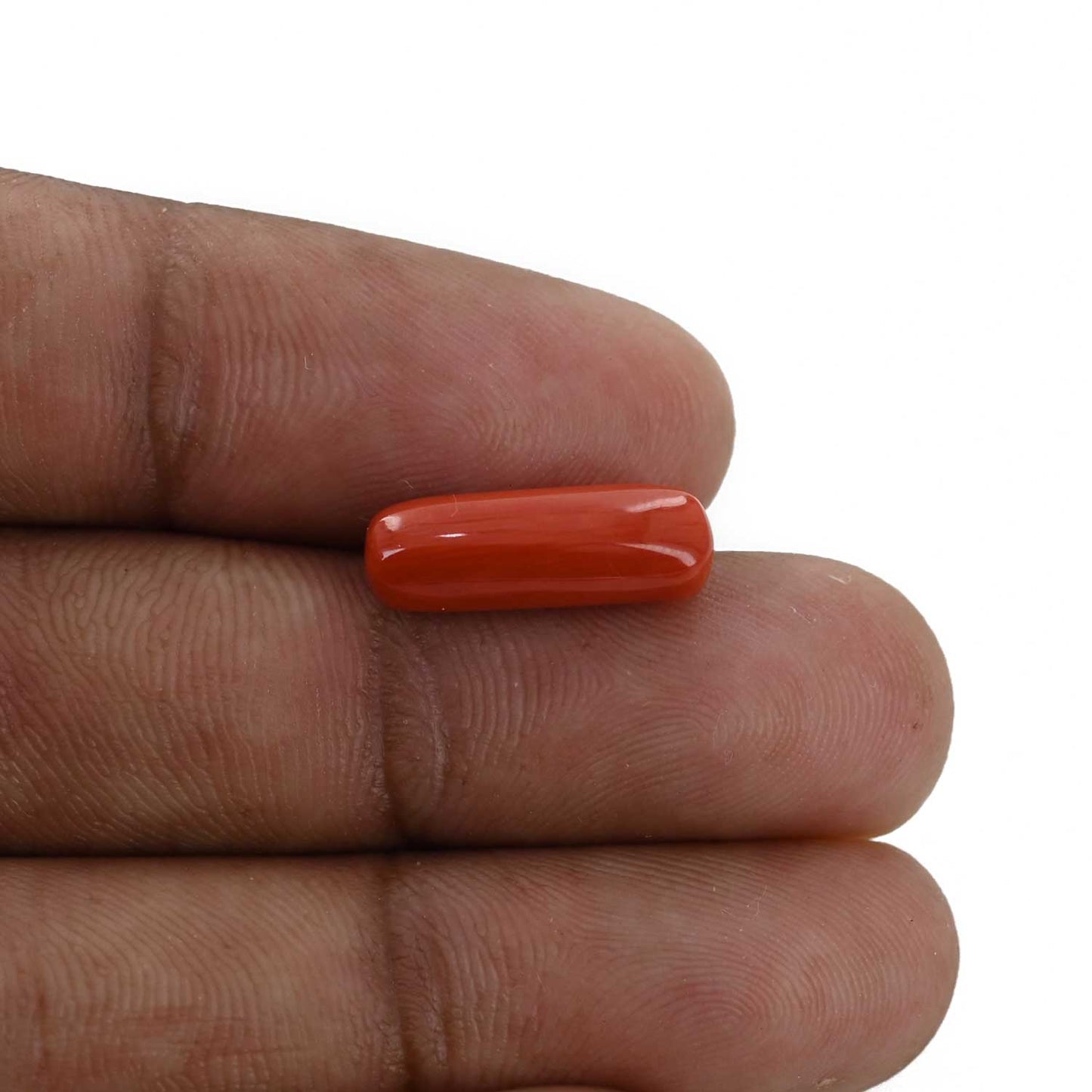 Red Coral (Moonga) - 5.03 Carat